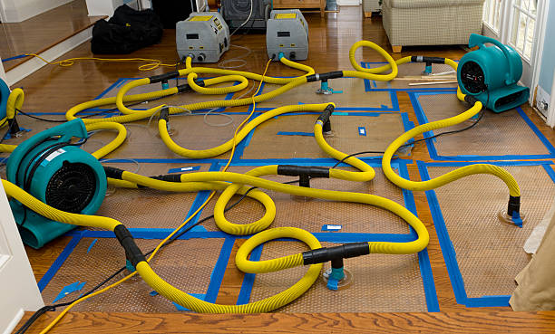 Professional Burst Pipe Water Damage technician working in Sister Bay, WI